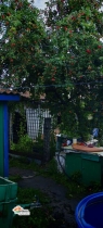 image (4)