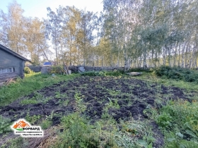 image (4)