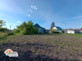image (4)